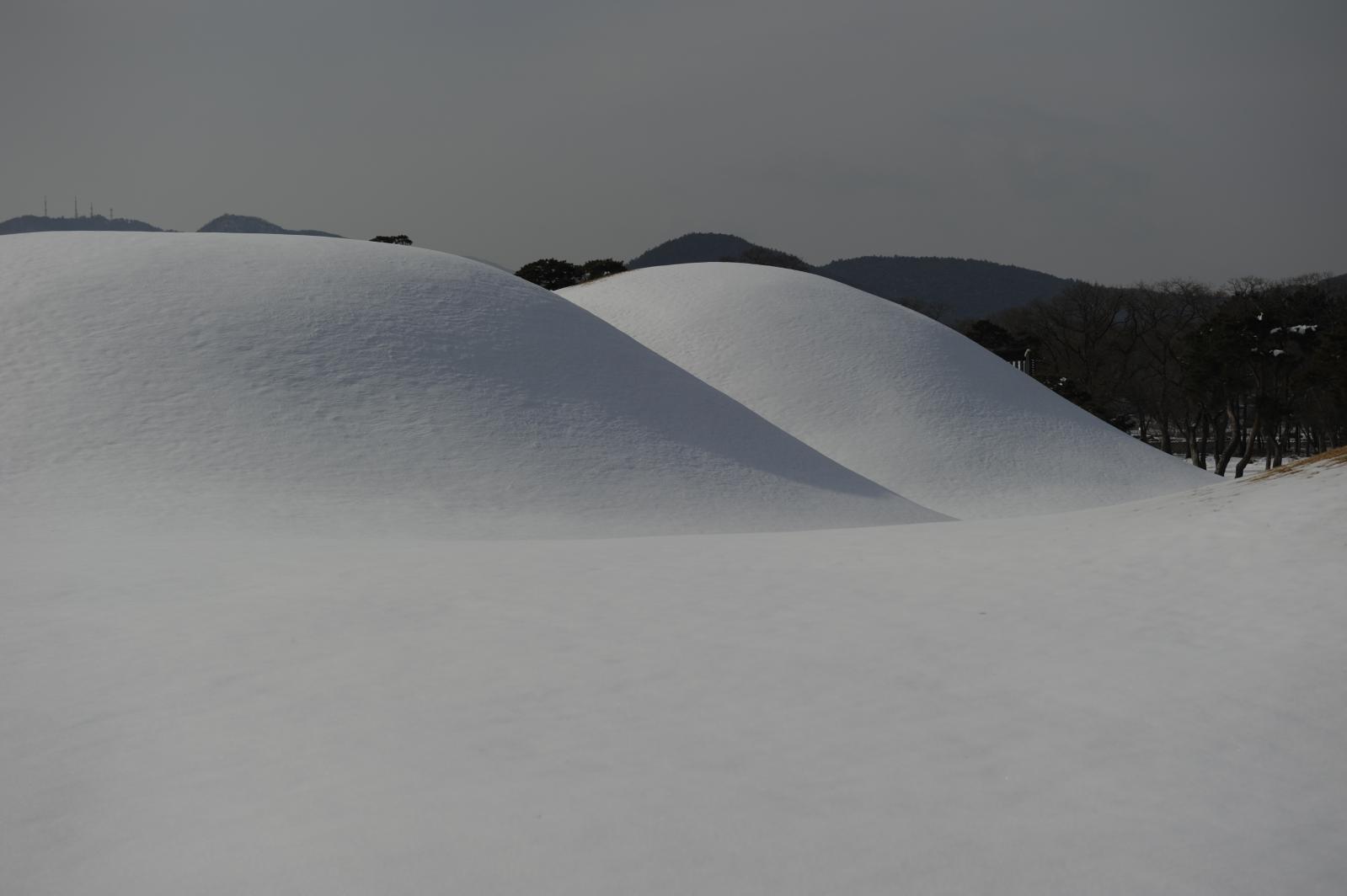 눈내린 왕릉_박진동(입선)